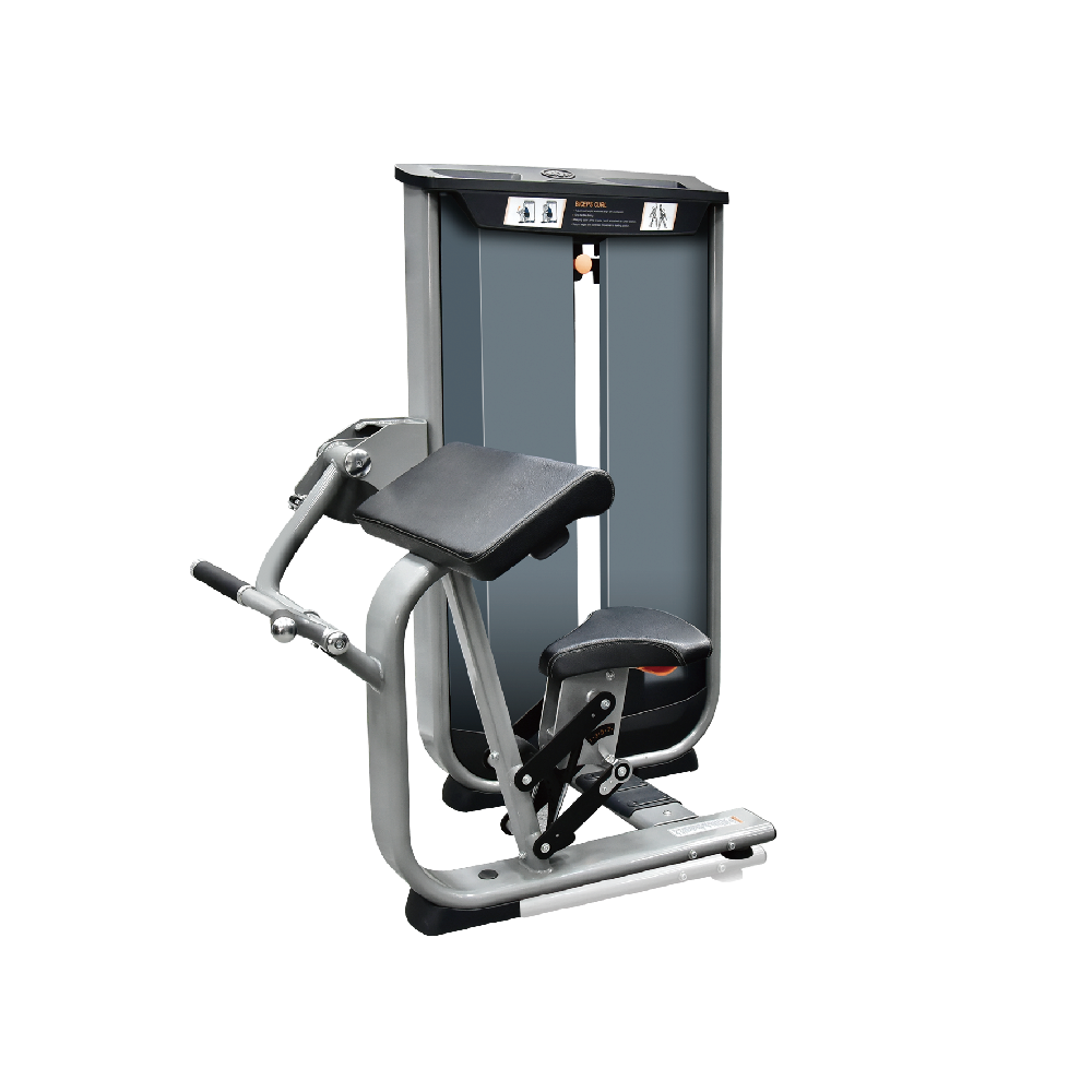 坐式二头肌训练器